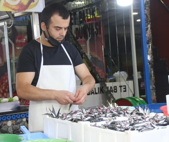 İstavritin kilosu 5 liraya düştü! Vatandaş kasayla almaya başladı