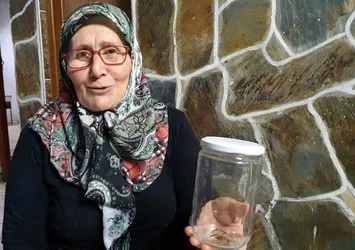Kavanozda bir "canavar" yatıyor! Vatandaş korku içinde