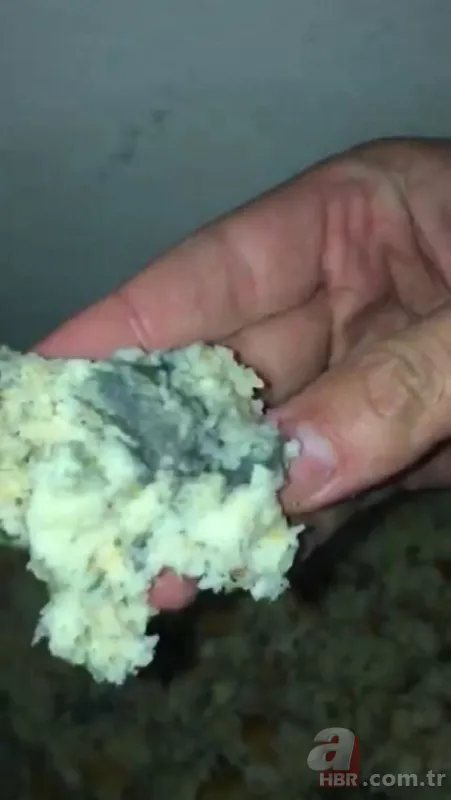 Antalya'da vahşet! Ağaca asılı halde bulundular 8