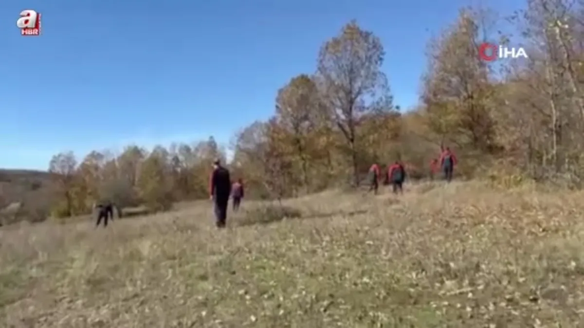 Ormanlık alanda kaybolan adamı 96 kişilik ekip arıyor