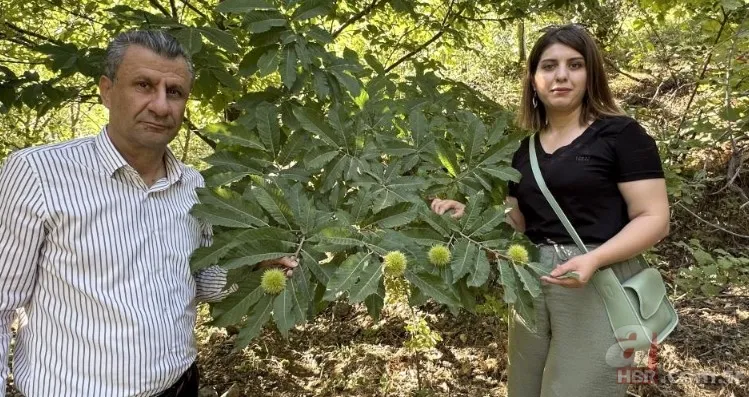 İnternetten gördü yapılamaz denileni yaptı! İlçede bir ilk: Hasat için geri sayım başladı 4