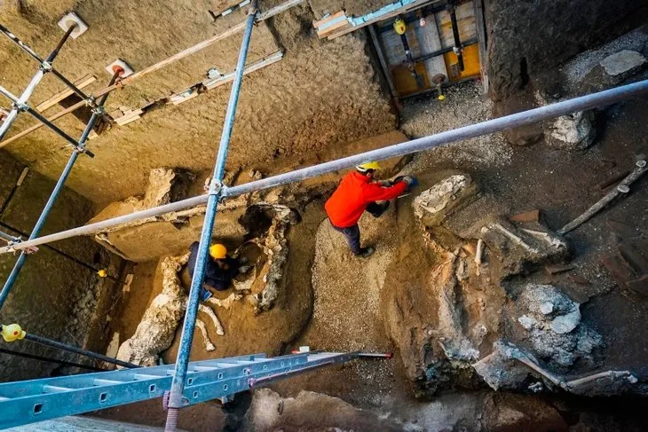 Pompeii Antik Kenti’nde taşlaşmış halde hayvan kalıntıları bulundu