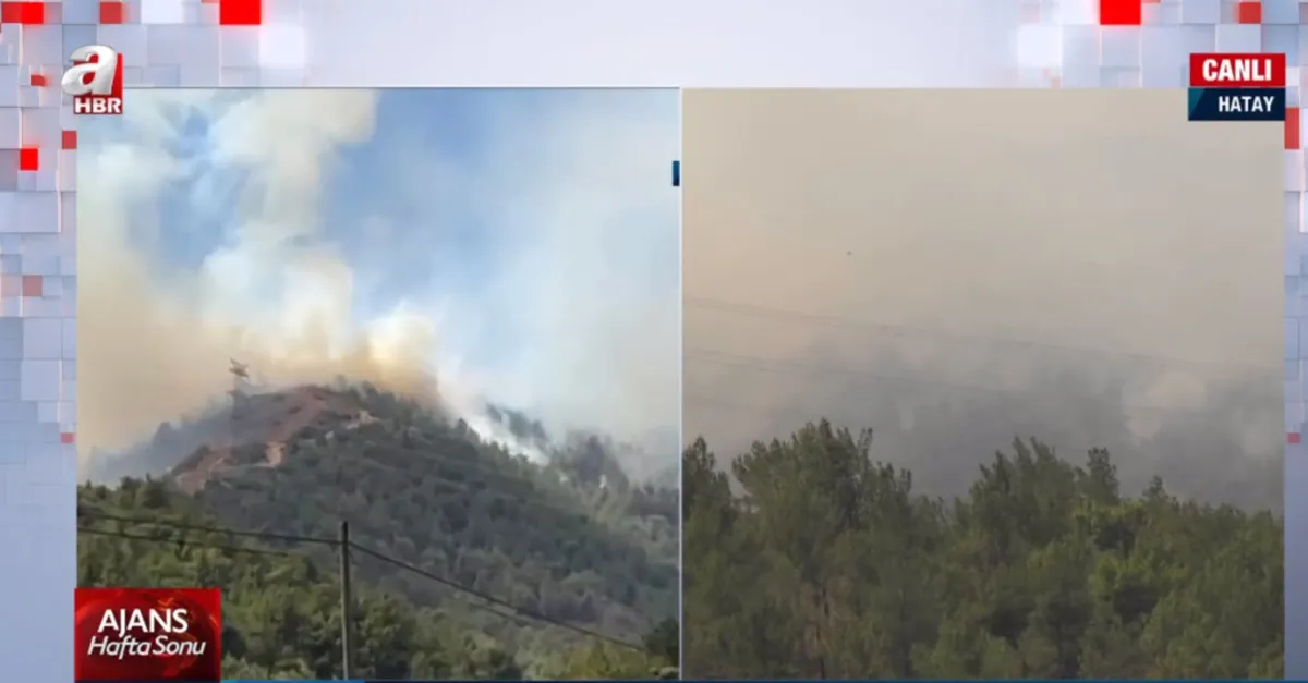 Hatay’da orman yangını çıktı