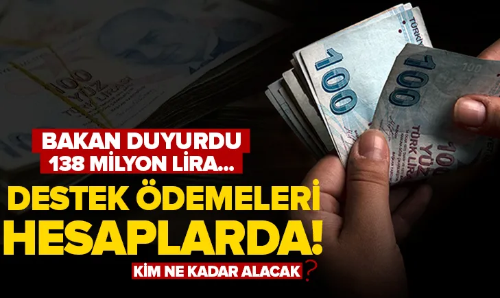 Milyonlarca liralık destek hesaplarda! Bakanlık duyurdu