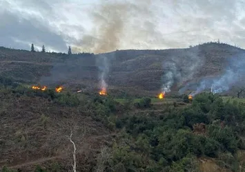 Kahramanmaraş'da ormanı 17 farklı noktadan ateşe veren şüpheli tutuklandı