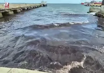 Tekirdağ'da poyraz kızıl yosun getirdi