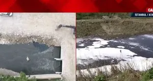 Marmara denizi ölüyor