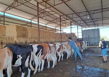 Nazilli'de 14 mahalle karantinaya alındı