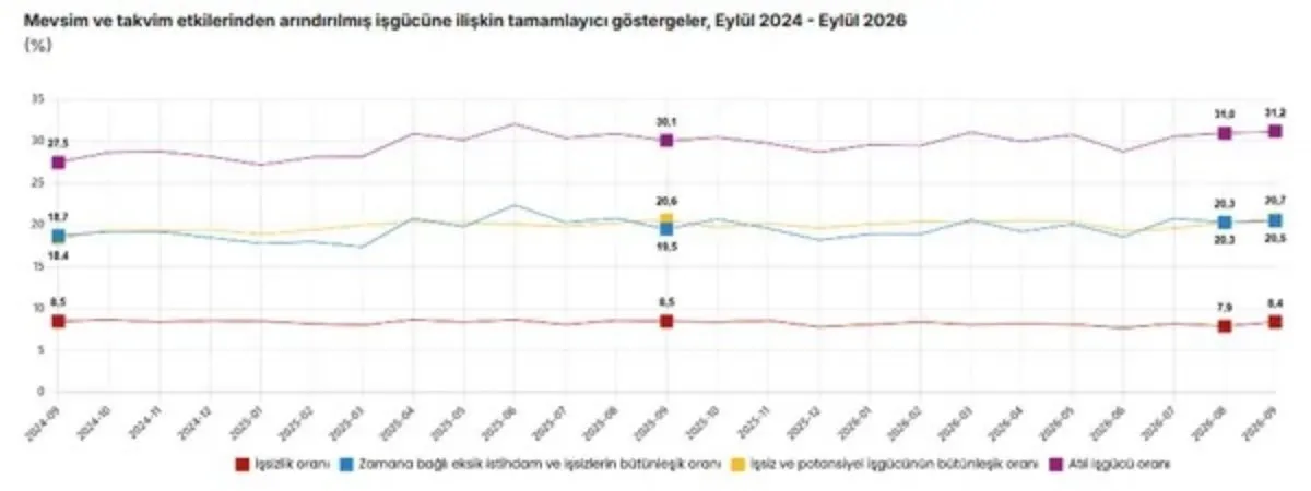 TÜİK açıkladı: Eylül ayında işsizlik yükseldi, istihdam geriledi - 5