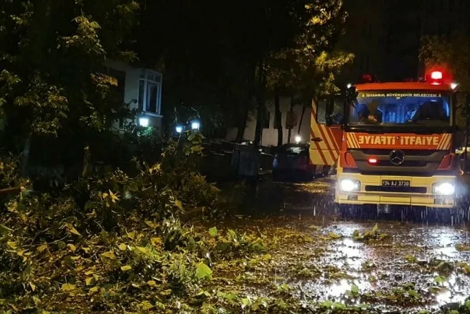 Şiddetli rüzgâr Kartal, Bakırköy ve Fatih'te ağaçları devirdi - 1