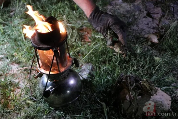 Avcılar gaz lambalarıyla gecenin karanlığında kurbağa avına çıktı