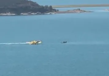 Yangın söndürme uçağı Seyhan Gölü'ne düştü