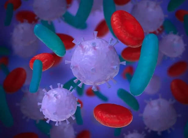 adenovirus-nedir-belirtileri-neler-adenovirus-enfeksiyonu-bulasici-mi-nasil-bulasir-tedavisi-neler-1707374546524.jpg Adenovirüs nedir, belirtileri neler? Adenovirüs enfeksiyonu bulaşıcı mı, nasıl bulaşır, tedavisi neler? - 5