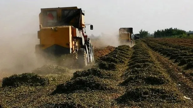 Çiftçilere kuraklık desteği ne zaman yatacak 2021? Çiftçi kuraklık desteği ayın kaçında, hangi illerde yatacak?