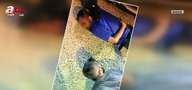 Son dakika: Mardin'de 2 PKK'lı terörist yakalandı