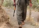 Bakanlık açıkladı! 2 terörist teslim oldu