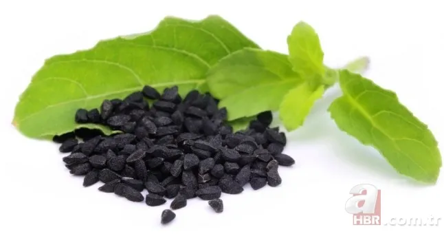 Çörek otunu bal ile birlikte tüketirseniz... 6