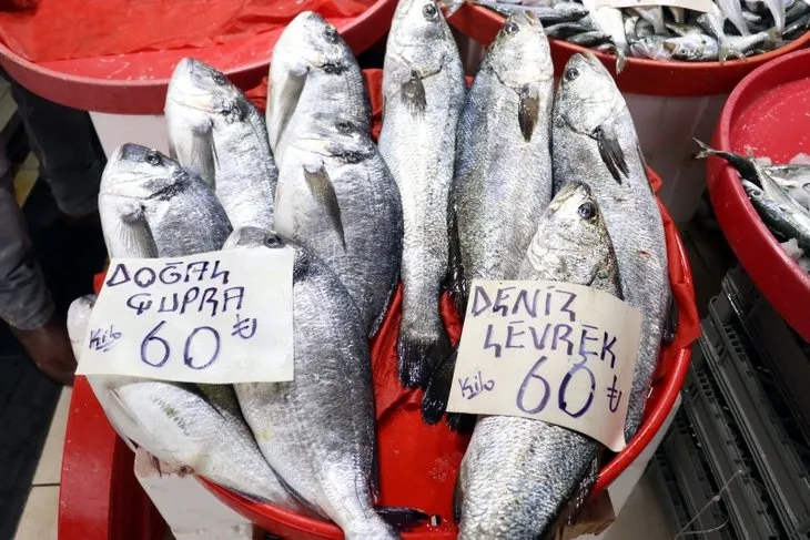 Balık fiyatları ne zaman düşer | Vatandaşı sevindiren haber! Soğuk ve karlı hava balık fiyatlarını düşürecek