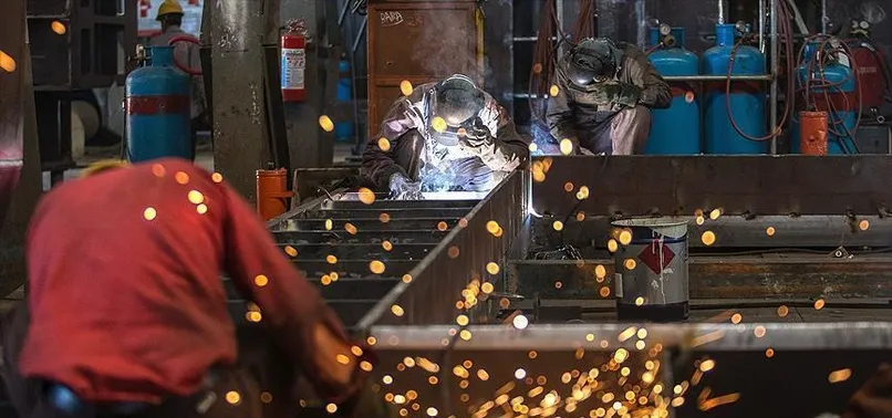 Yabancı ekonomistlerden Türkiye'ye büyüme övgüsü