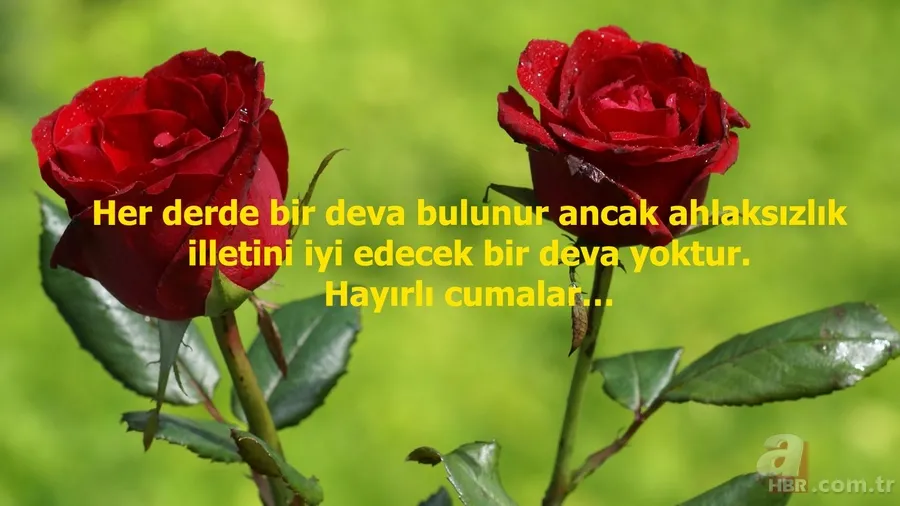 Resimli Cuma mesajları 20 Aralık! En yeni, en güzel Cuma mesajları ile seviklerinizi hatırlayın! 5