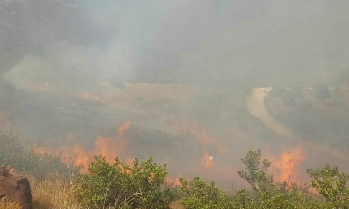 Son dakika: Bodrum'da makilik alanda yangın