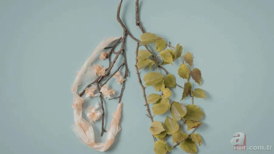 5 Mart ne günü? Yeşilay Haftası ne zaman başlıyor, neden kutlanıyor? 7