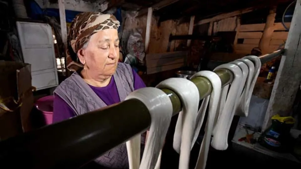 Kazanlar çeçil peyniri için yakıldı