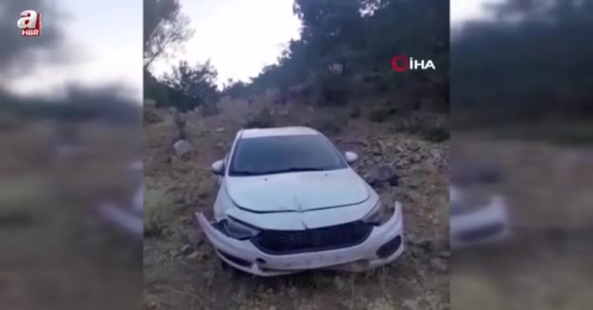 Bingöl'de otomobil şarampole uçtu
