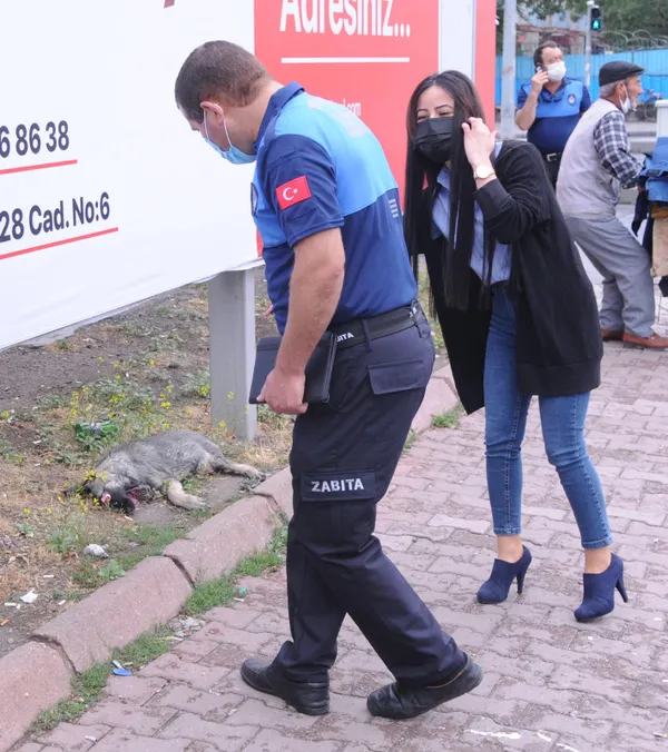 kayseride-dehset-parkta-gozleri-oyulmus-olu-kopek-bulundu-1628762722405.jpg Kayseri’de dehşet! Parkta gözleri oyulmuş ölü köpek bulundu - 2