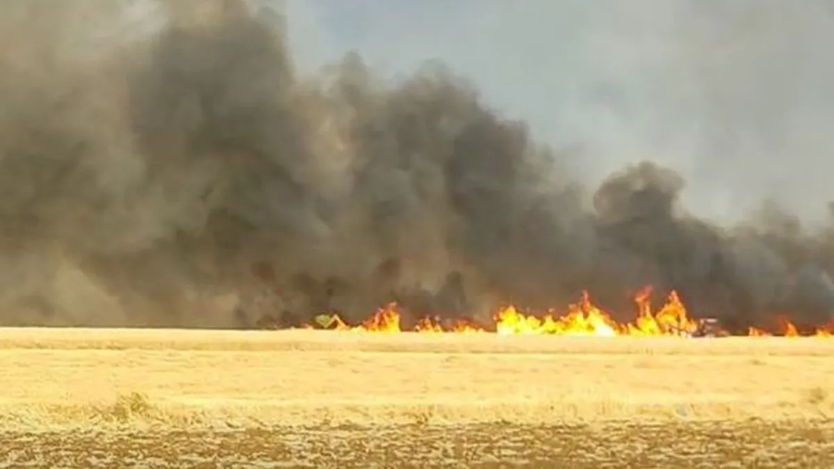 Gaziantep'te 300 dönümlük alanda anız yangını! 50 zeytin ağacı zarar gördü
