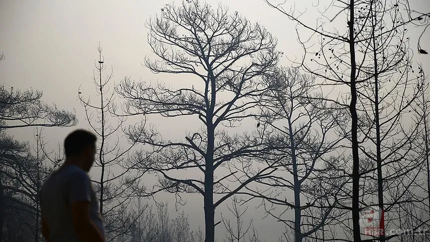 İsminizin ilk harfi kişiliğinizi belirliyor! İsmi A, B, F, K, S harfleriyle başlayan kişilerin özellikleri neler? İşte isim kişilik testi 15