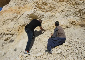 Mersin’de bulundu! 35 milyon yıllık keşif