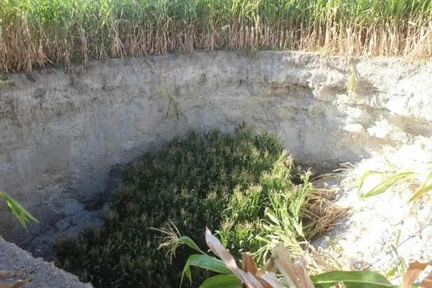 Tarlada çalışırken bir anda gördü çok büyük ve korkutucuydu! O ilimizde korkutan olay...