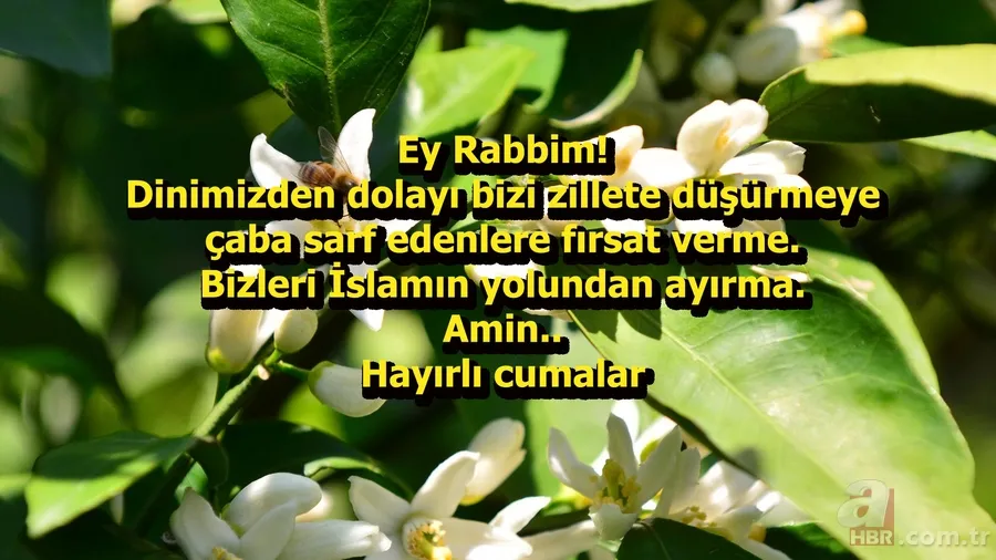 Resimli Cuma mesajları 20 Aralık! En yeni, en güzel Cuma mesajları ile seviklerinizi hatırlayın! 17