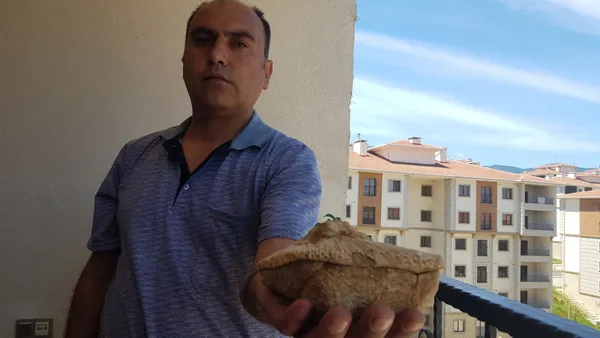 Doğa gezisine gitti 45 milyon yıllık fosil buldu - 4