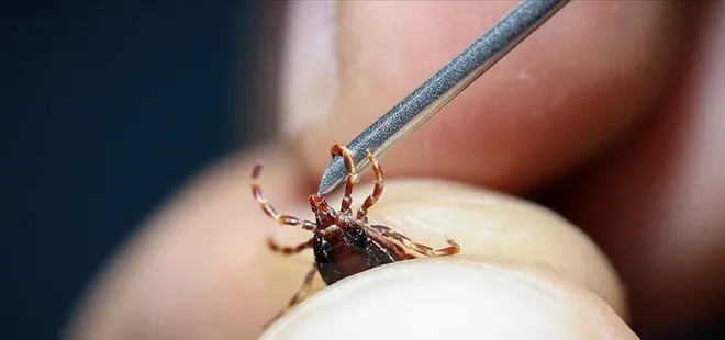 Her mevsim yaşayabiliyor! O illerde yaşayanlar dikkat: Çok tehlikeli