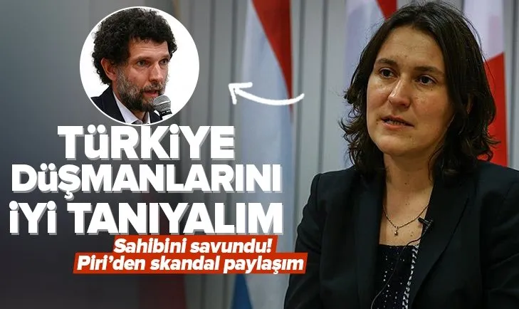 Türkiye düşmanı Kati Piri’den Gezi davası kararı ardından skandal paylaşım