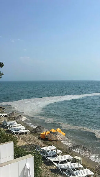 Bayram öncesi Gemlik sahillerinde yine müsilaj kabusu - 1