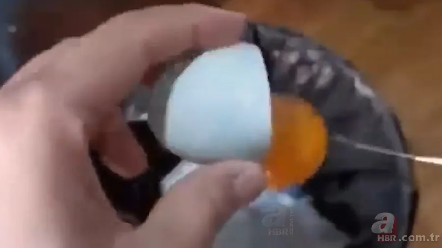 İşte civcivin yumurta içindeki gelişimi 🐣 İğne ile enjekte etti gün gün görüntüledi 🥚 6