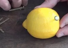 Rus mühendis limon ile bakın ne yaptı!