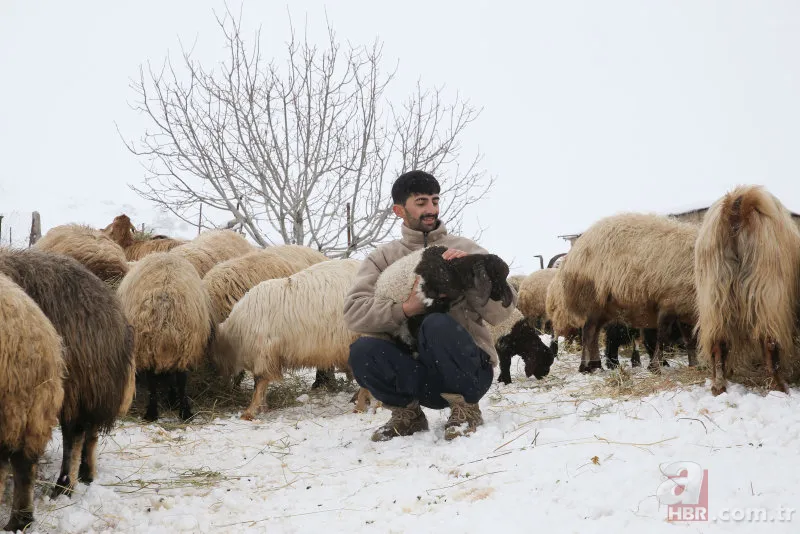 Hakkari'de kar yağışı şehri beyaza bürüdü! Onlarca köy yolu ulaşıma kapandı 17