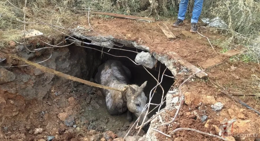 Yer altından gelen garip sesler ekipleri harekete geçirdi! Kanalizasyondan çıkan şoke etti 20