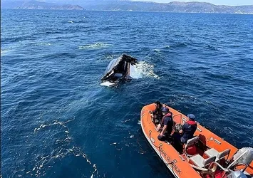 Halit Yukay'ın ölümünde çarpıcı detay! Kara kutu incelemeye alındı | 16 dakikada neler oldu?