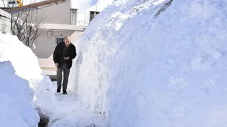 Bitlis'te kar günlük hayatı felç etti: Vatandaş kar tünelleri kazmaya başladı