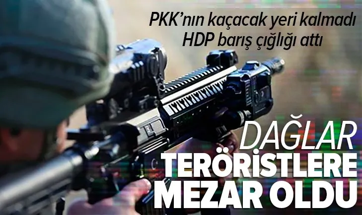 Mehmetçik teröristleri vurdukça ses HDP’den geldi