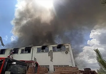 Antalya'daki yangın söndürüldü