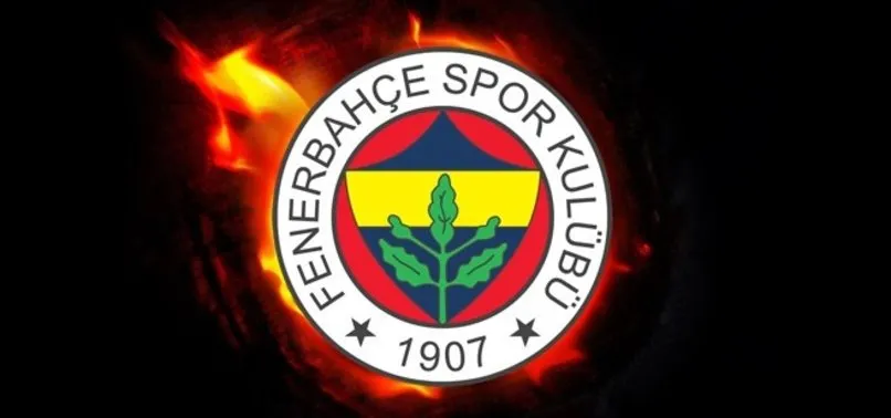 Fenerbahçe ve MKE Ankaragücü PFDK'ye sevk edildi