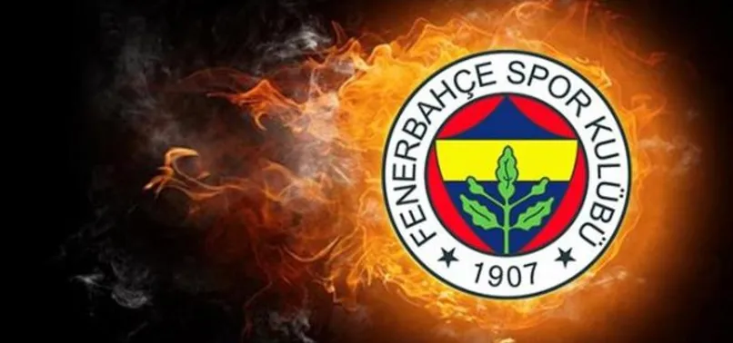 PFDK'dan Mehmet Ekici'ye 3 maç ceza