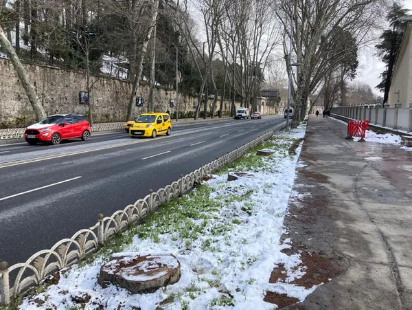 İBB’nin Çırağan Caddesi’ndeki ağaç katliamına tepkiler çığ gibi büyüdü! AK Parti’den sert açıklama: Sessiz mi kalacaksınız!