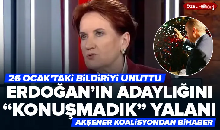 Meral Akşenerden Erdoğan yalanı!